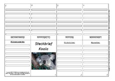 Faltbuch-Koala-1.pdf